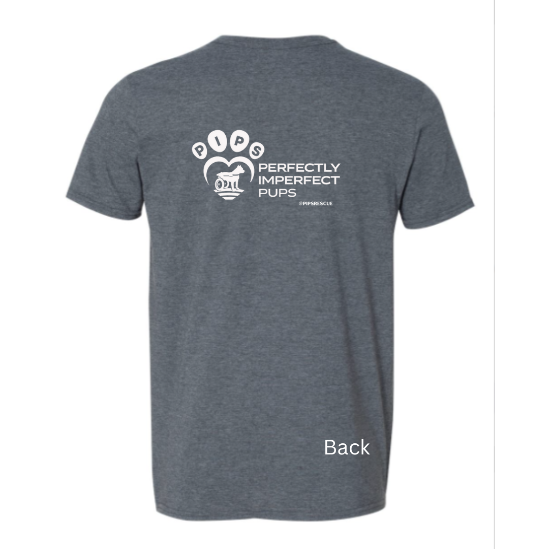 PIPs - "Shenanigans Coordinator" V-Neck Tee